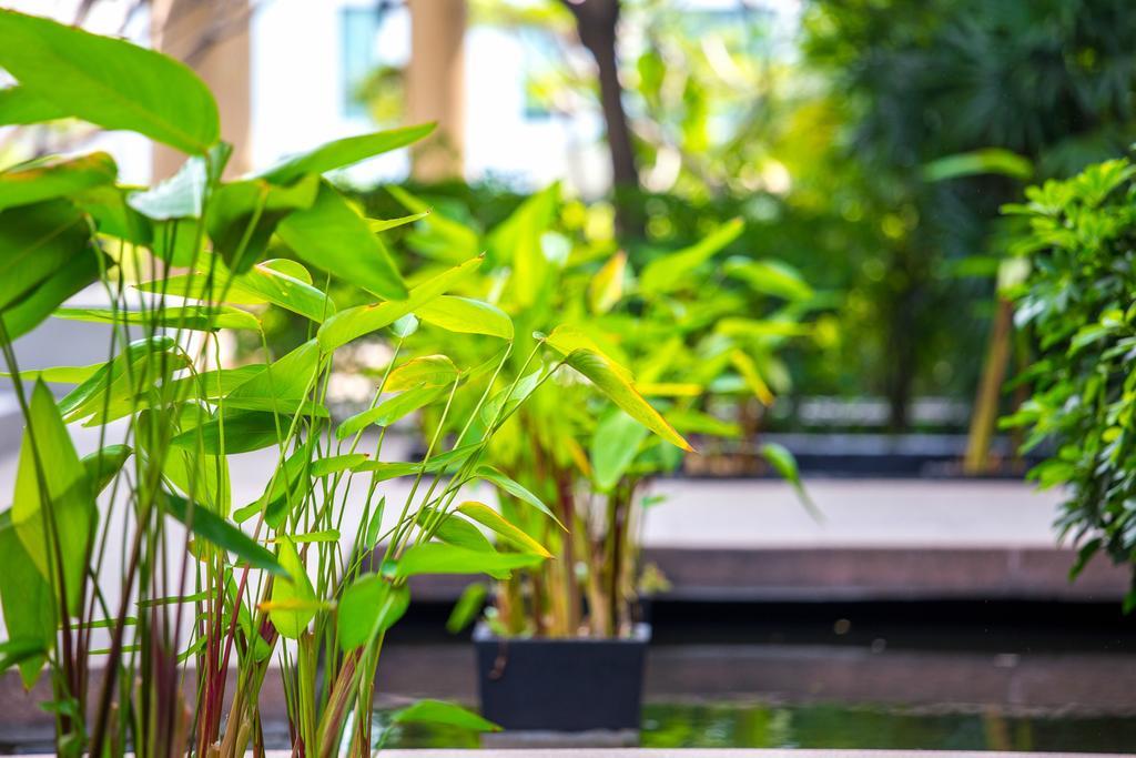 The Capital Resort @ Sukhumvit 50 Bangkok Exteriér fotografie Plants in a water garden